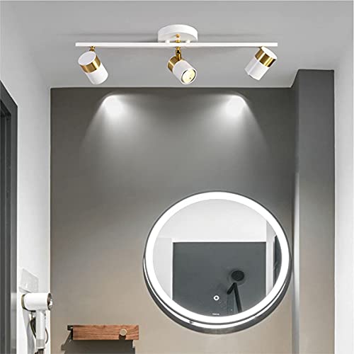 White 3 Lights Track Lighting Fixtures (White)