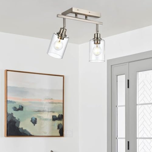 2 Light Track Lighting Fixtures Ceiling (Brushed Nickel / 2 Lights)