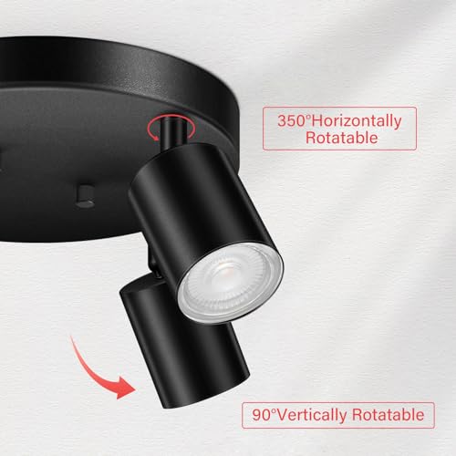 LED 4 Light Track Lighting Kit (4 Light-Black)