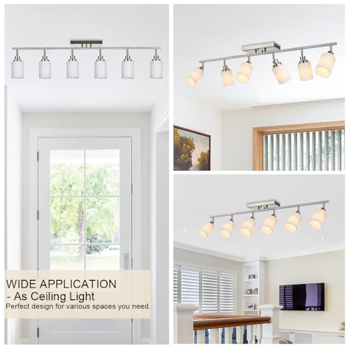 6 Lights Track Lighting Ceiling (Brushed Nickel / 6-Lights)