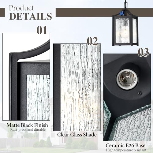 Outdoor Pendant Lights (Black / Small-Water Glass)