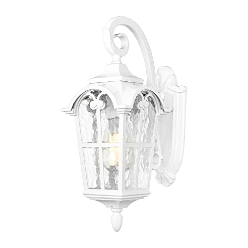 Outdoor Wall Lights (White - Water Glass / 17.5 Inch - No Function)