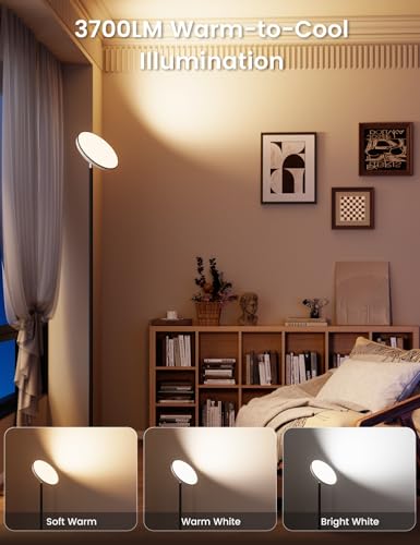 UFO Torchiere Floor Lamp (Black)