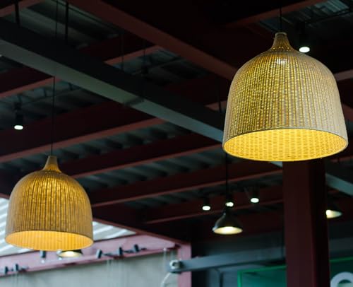 4W Filament 2700K Warm Lights (Oversized Special Bubble Lights(dimmable))