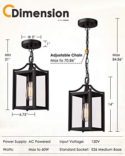 Outdoor Pendant Lights for Porch (Black / Small-Clear Glass)