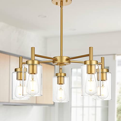 1 Light Modern Chandelier Lighting Fixtures Hanging Pendant for Dining Room Living Room