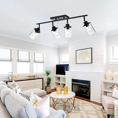 4 Lights Ceiling Light Fixtures with Flexibly Rotatable Light Head Black Bathroom Lights Modern Complete Track Lighting Kits with Clear Glass Shade (Black / 4-Light)