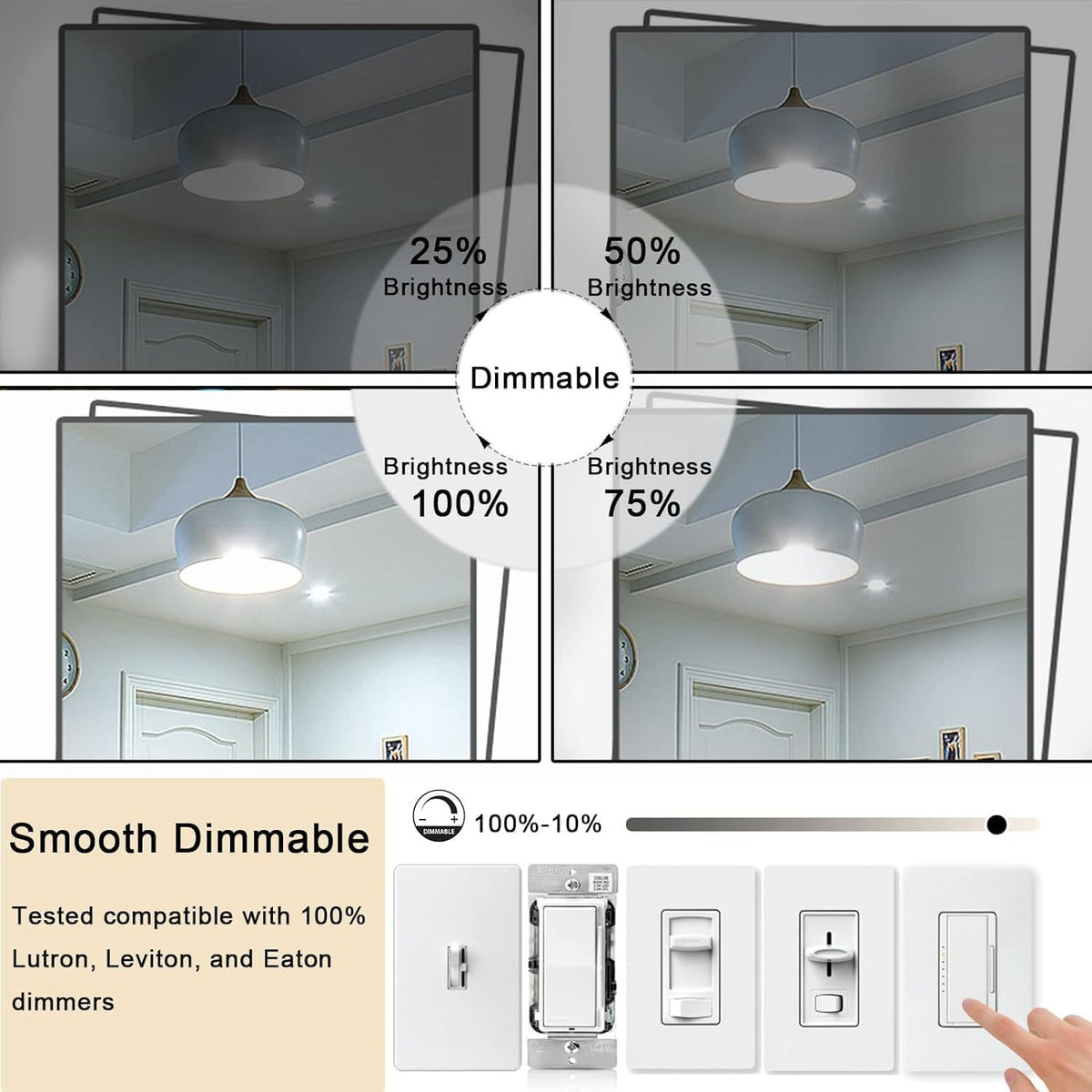 5 Inch Edison Bulb (5 Inch 6W (6 Count))
