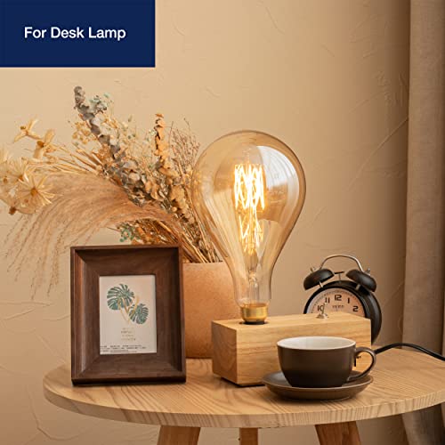 Oversized LED Edison Bulb
