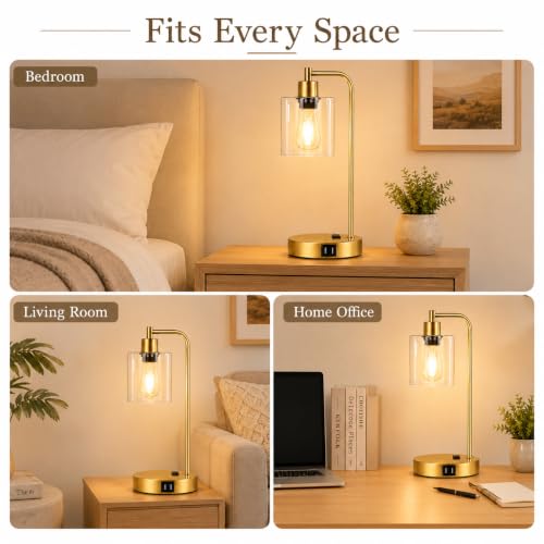 Industrial Touch Control Table Lamps Set of 2 (Gold(2 pack) - Clear Glass - Touch Control)