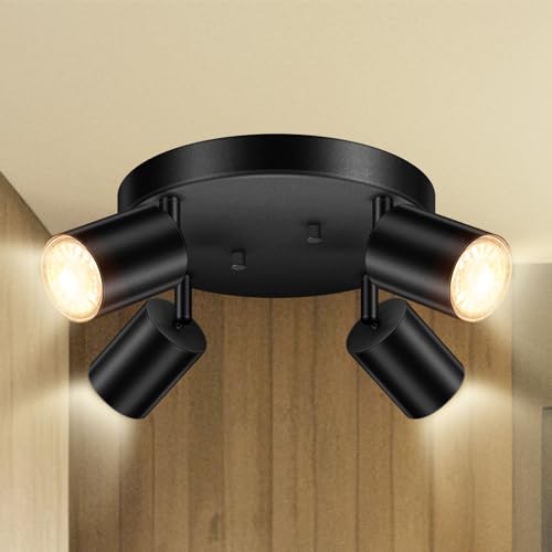 LED 4 Light Track Lighting Kit (4 Light-Black)