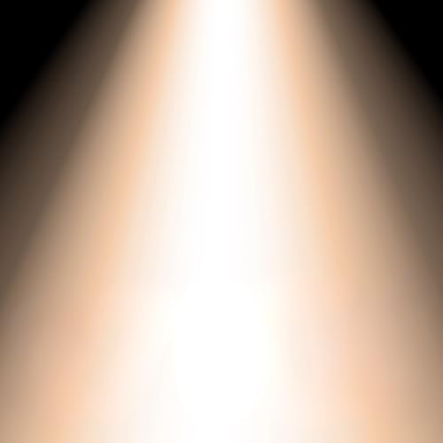 A19 LED Light Bulb