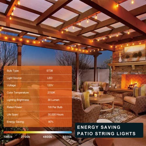 50FT Outdoor String Lights (50FT)