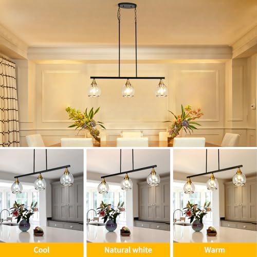 Island Light for Kitchen (Black and Gold / 3-Light)