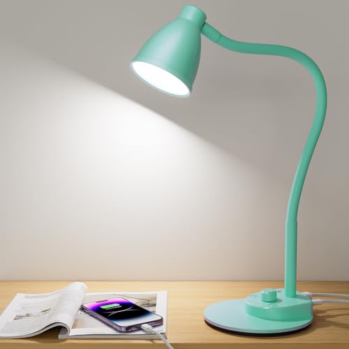 LED Desk Lamp with USB Charging Port 3 Color Modes Dim Reading Light