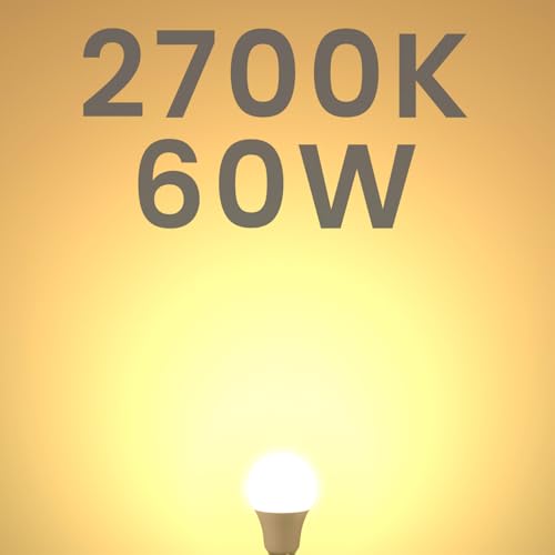 A19 LED Light Bulbs