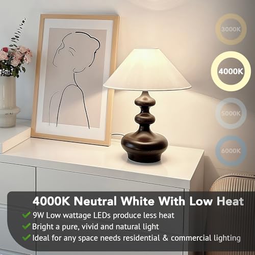 A19 LED Light Bulbs (Neutral White)