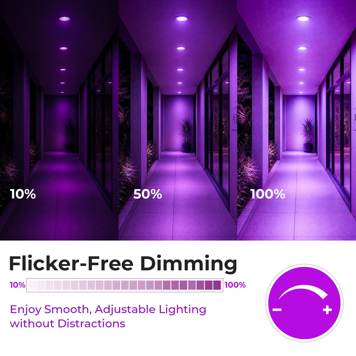 PAR38 Dimmable Purple Light Bulb (Purple / 2 Pack)