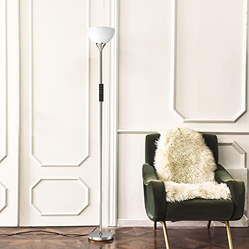 Floor Lamp Remote Control with 4 Color Temperatures (Brushed Nicke)