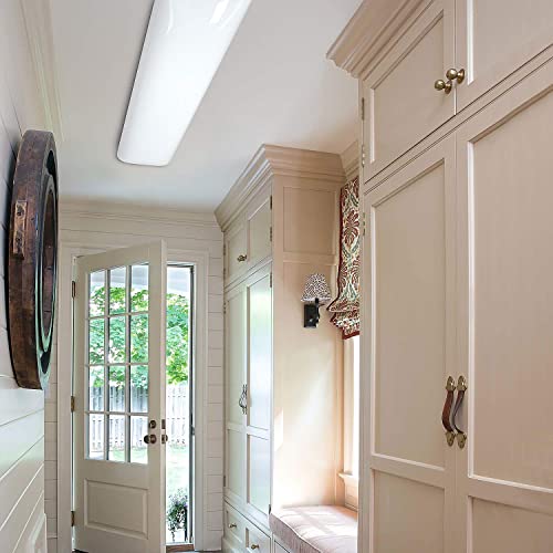 LED Lighting