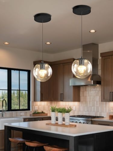 Globe Pendant Light Black Pendant Light Fixtures with Clear Glass 1 (Black-Clear / Globe 1-Light)