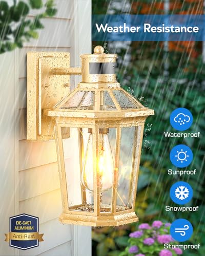 Gold Outdoor Wall Lights with Motion Sensor (Gold / Standard 1-Pack)