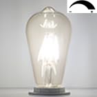 Vintage Edison Bulb 4W