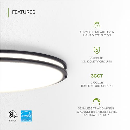 LED 32" Oval Flush Mount Lighting (Oil-Rubbed Bronze)