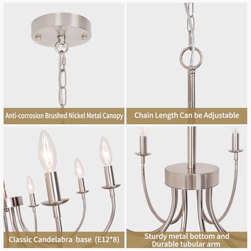8 Light Brushed Nickel Chandelier (Brushed Nickel / 8 Light)