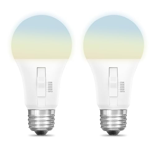 LED Light Bulbs 6 Way Bulbs (A19 - 2 Pack)