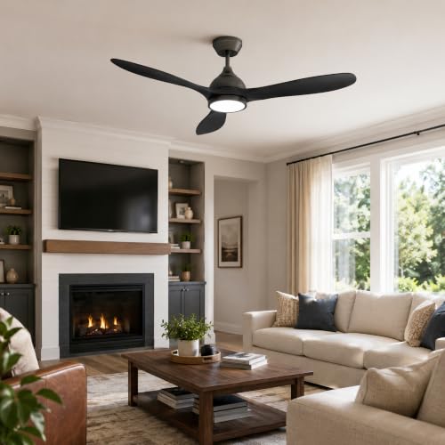 Ceiling Fan with Light