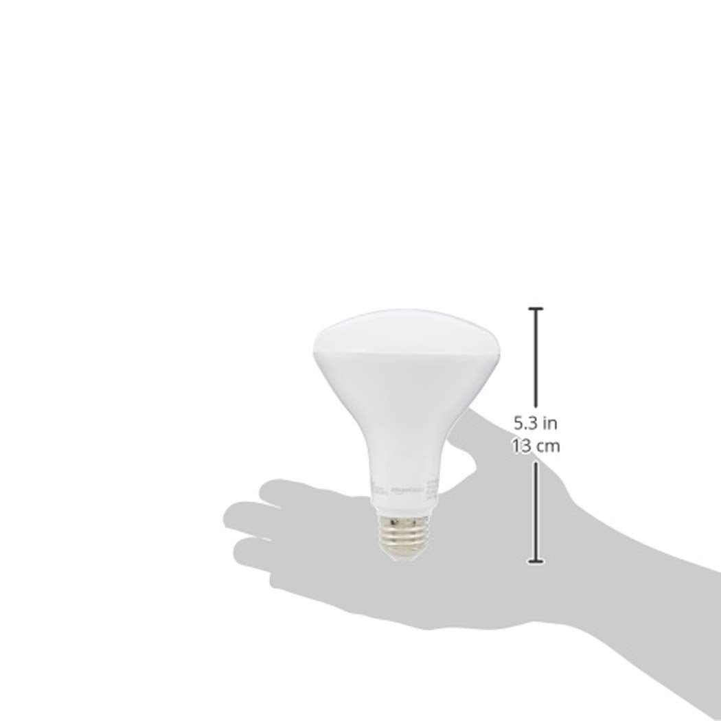 BR30 LED Light Bulb (Daylight / 16 Count (Pack of 1) / 65W Equivalent)