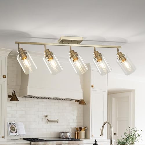 5 Light Brushed Nickel Track Lighting Kit with Clear Glass (Brushed Nickel / 5-Light)