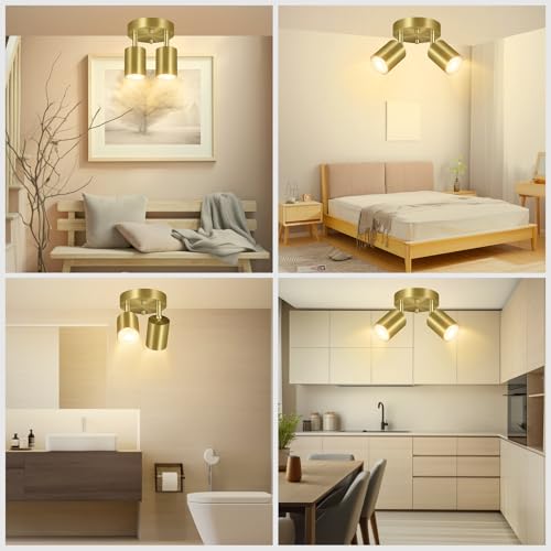 LED 2 Light Track Lighting Kit (2 Light-Gold)