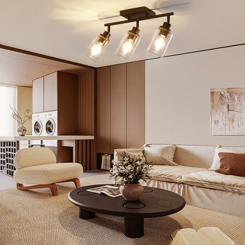 3 Light Kitchen Track Light Fixtures Ceiling Vanity Lights Black (Black / 3-Light)
