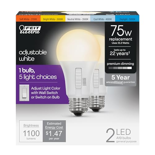 LED Light Bulbs (A19 - 2 Pack)