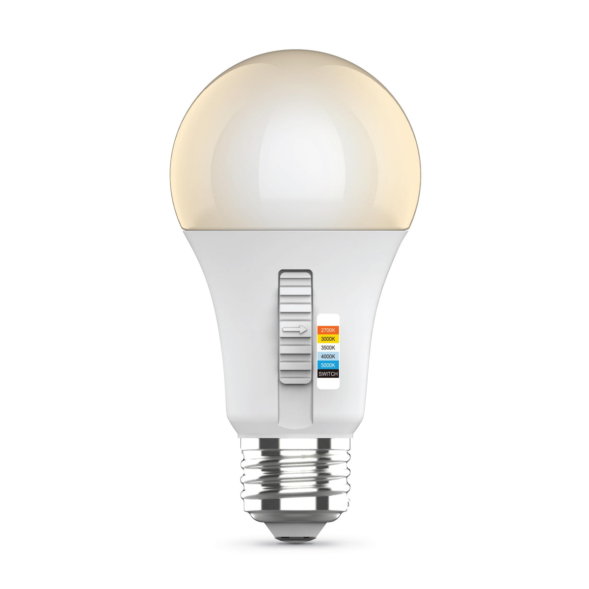 LED Light Bulbs (A19 - 2 Pack)