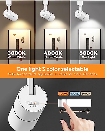 3 Color Zoomable 10W LED Track Lighting Heads H Type (White)