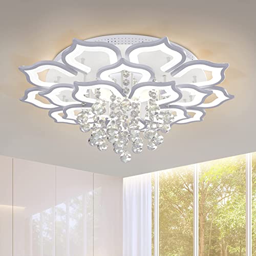 Modern Ceiling Light (20 HEAD)