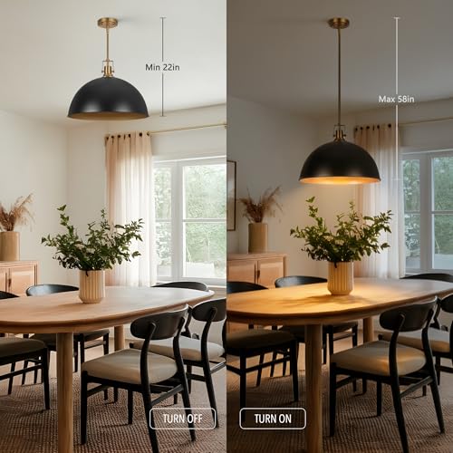 17.7 in Large Dome Pendant Light (Black and Gold / 17.7 Inch)
