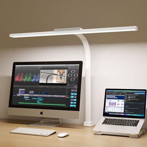 Desk Lamp for Home Office