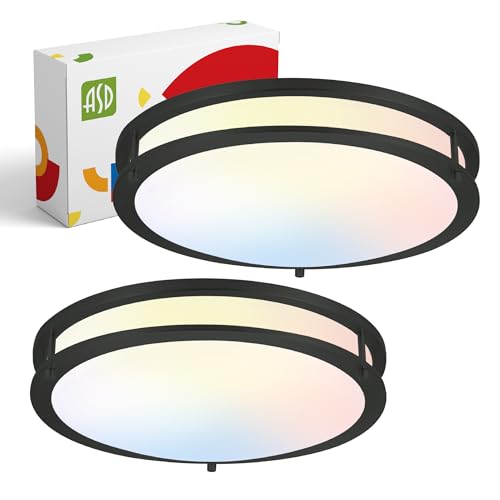 LED 16" Round Flush Mount Lighting (Black)
