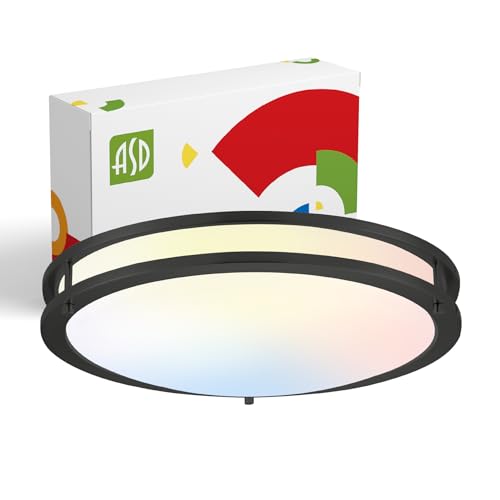 LED 18" Round Flush Mount Lighting (Black)