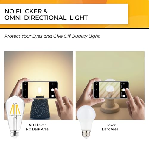 Edison Bulbs Dimmable (Soft White)