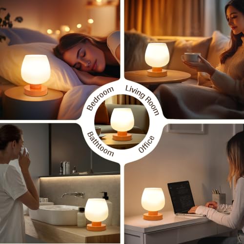 Small Touch Table Lamp for Nightstand (Orange)