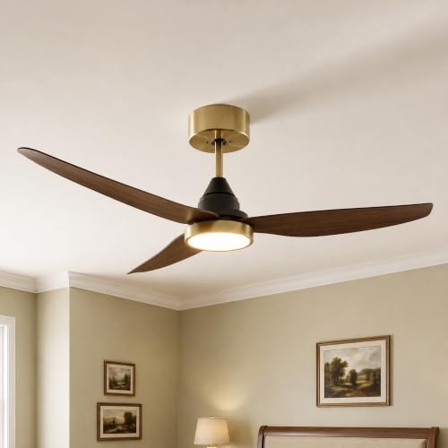 Ceiling Fan with Light