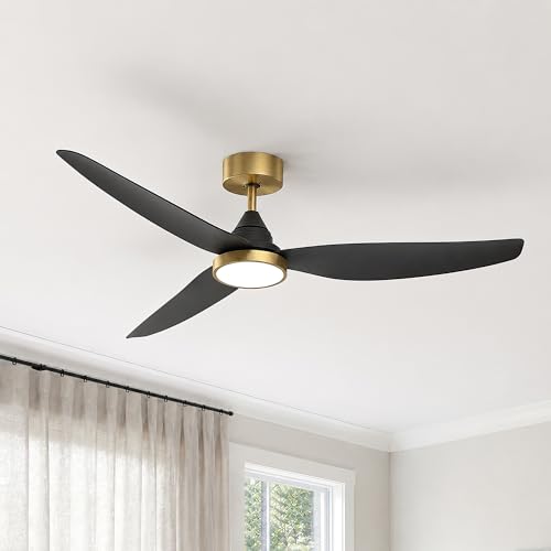 Ceiling Fan with Light