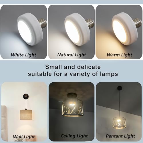 E26 Battery Operated Light Bulb for Lamps (E26-Battery Operated / 3.3x2.7 Inch-1 Pack)