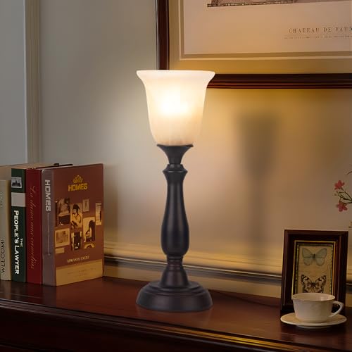 Farmhouse Table Lamp for Living Room (Dark Brown)