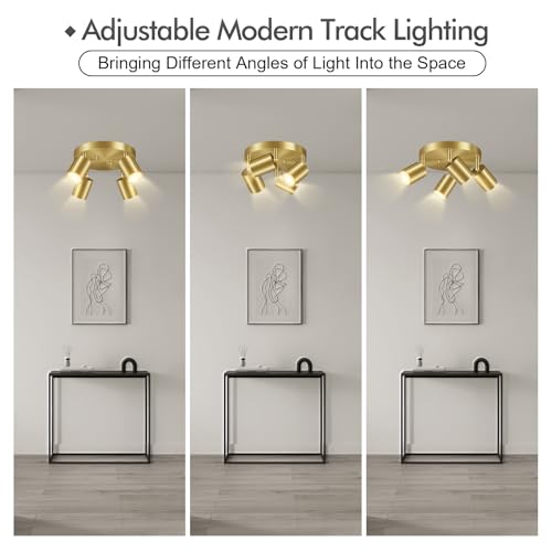 LED 4 Light Track Lighting Kit (4 Light-Gold)